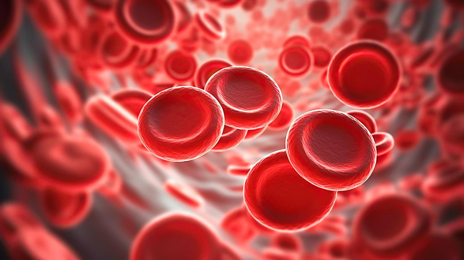 Erytrocyt i hemoglobina - jaką funkcję pełnią w organizmie? Norma i patologia